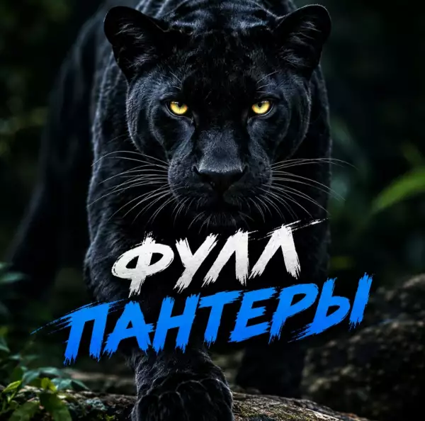 ПАНТЕРА КАЗАНЬ | ФУЛЛ С КАЗАНИ