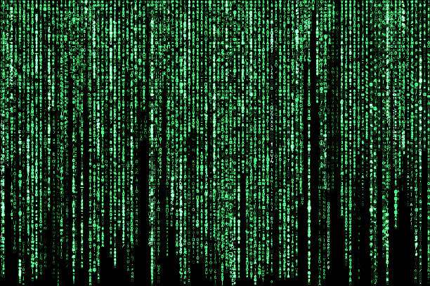 IT-proger для программистов